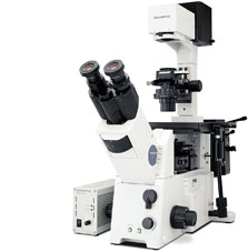 OLYMPUS IX71研究级倒置显微镜