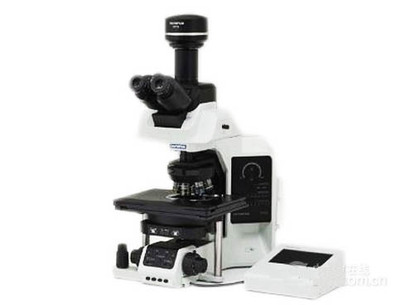 OLYMPUS BX63荧光显微镜