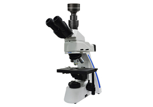 荧光显微镜DF-31