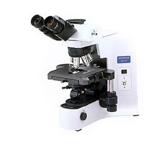OLYMPUS BX41生物显微镜