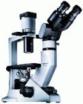 OLYMPUS CKX41倒置显微镜