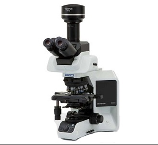 OLYMPUS BX53荧光显微镜