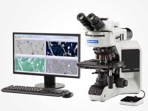 OLYMPUS BX53M金相显微镜